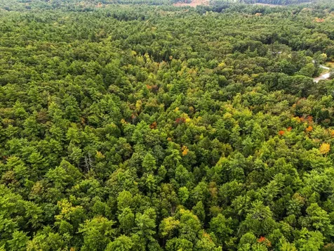 00 Raymond Road Auburn NH 03032