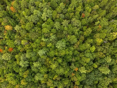 00 Raymond Road Auburn NH 03032