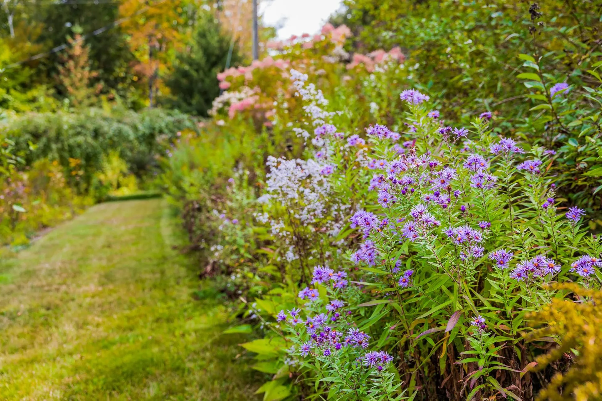 100 North Thetford Road Lyme NH 03678