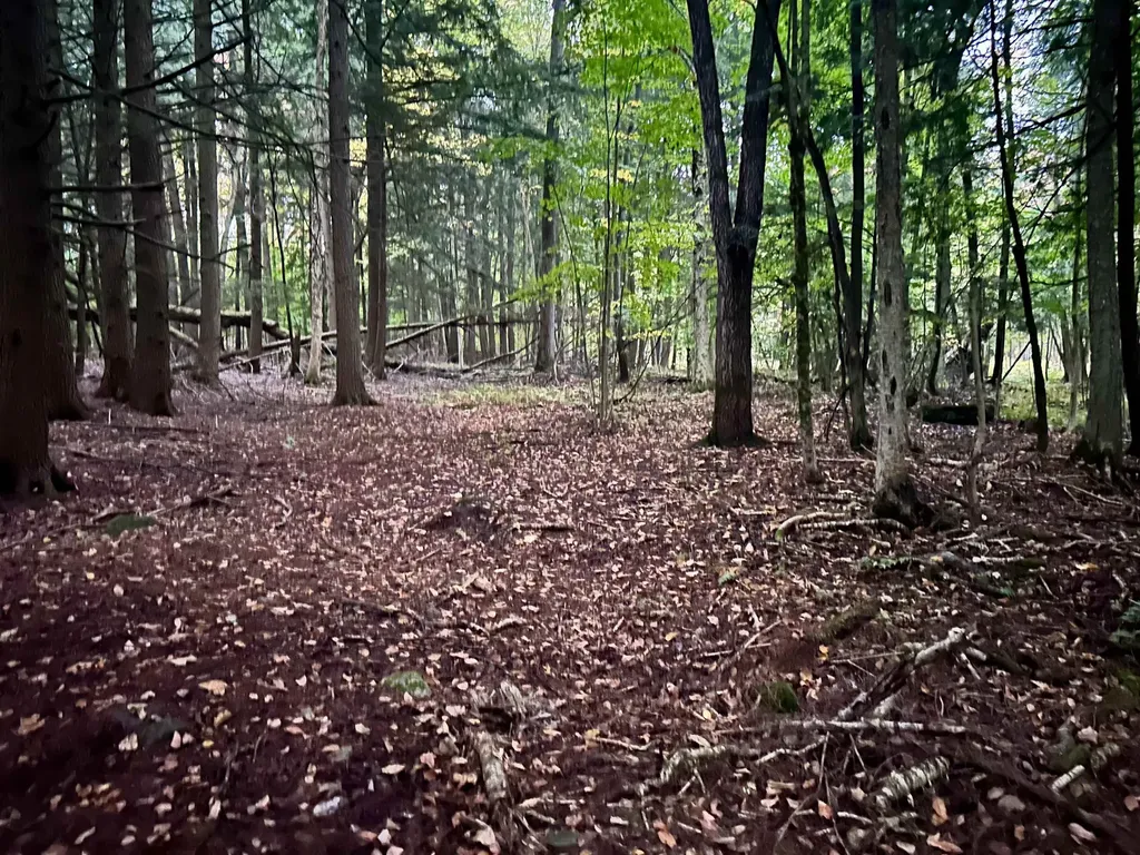 Tbd Pumpkin Village Road Fairfield VT 05455