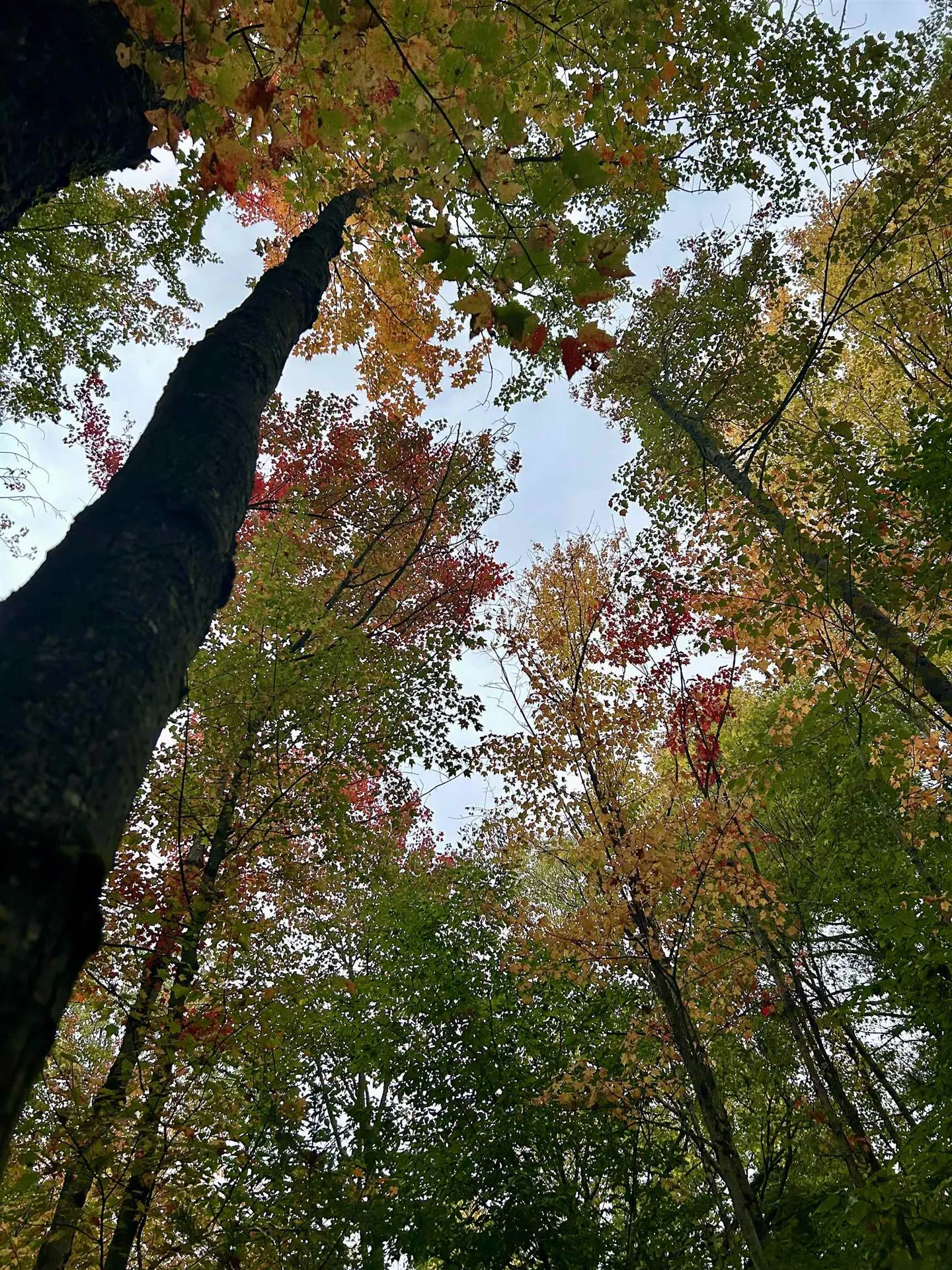 Tbd Pumpkin Village Road Fairfield VT 05455