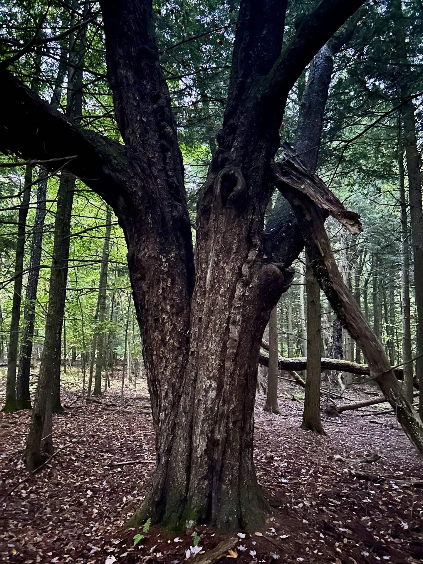 Tbd Pumpkin Village Road Fairfield VT 05455