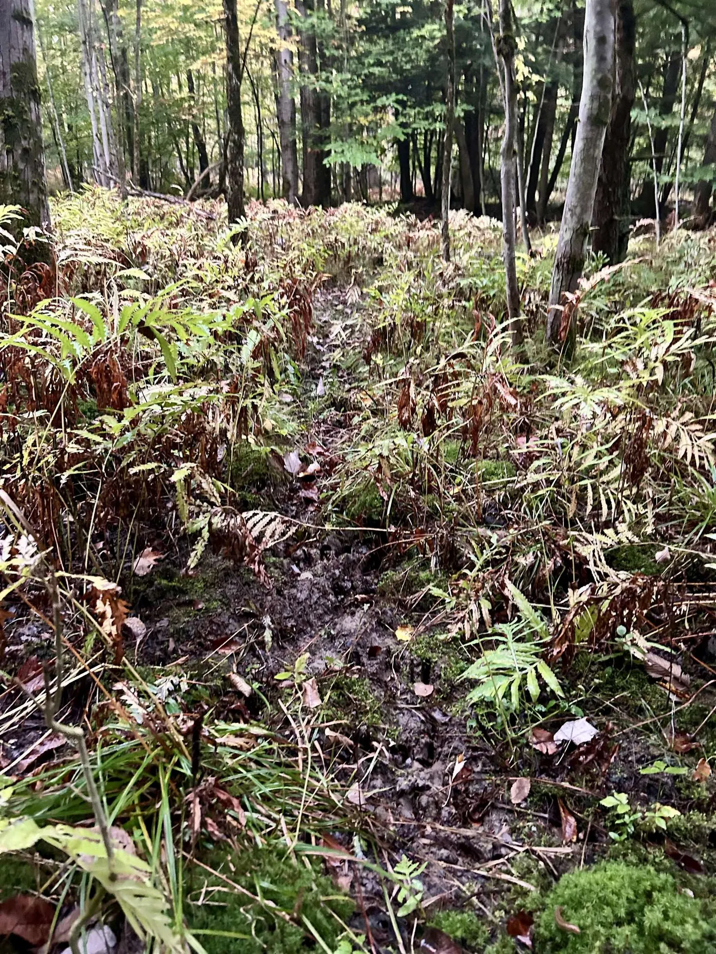 Tbd Pumpkin Village Road Fairfield VT 05455