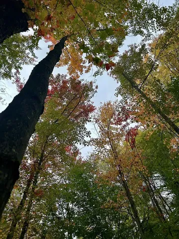 Tbd Pumpkin Village Road Fairfield VT 05455