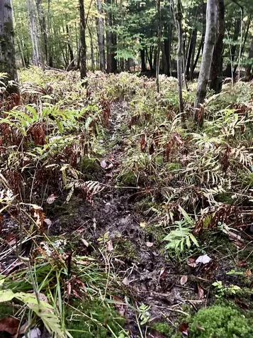 Tbd Pumpkin Village Road Fairfield VT 05455