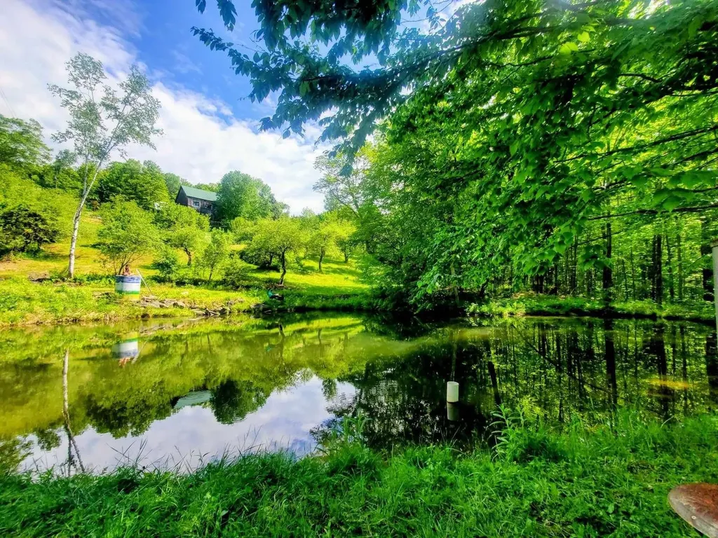 1312 Macintosh Hill Road Bethel VT 05060