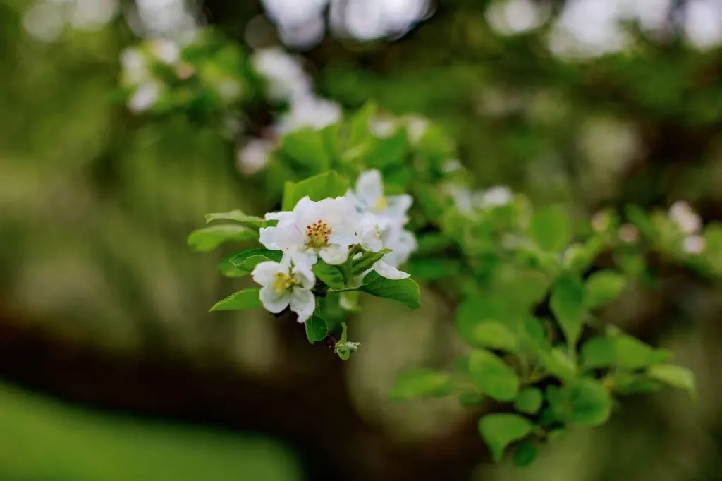 1312 Macintosh Hill Road Bethel VT 05060