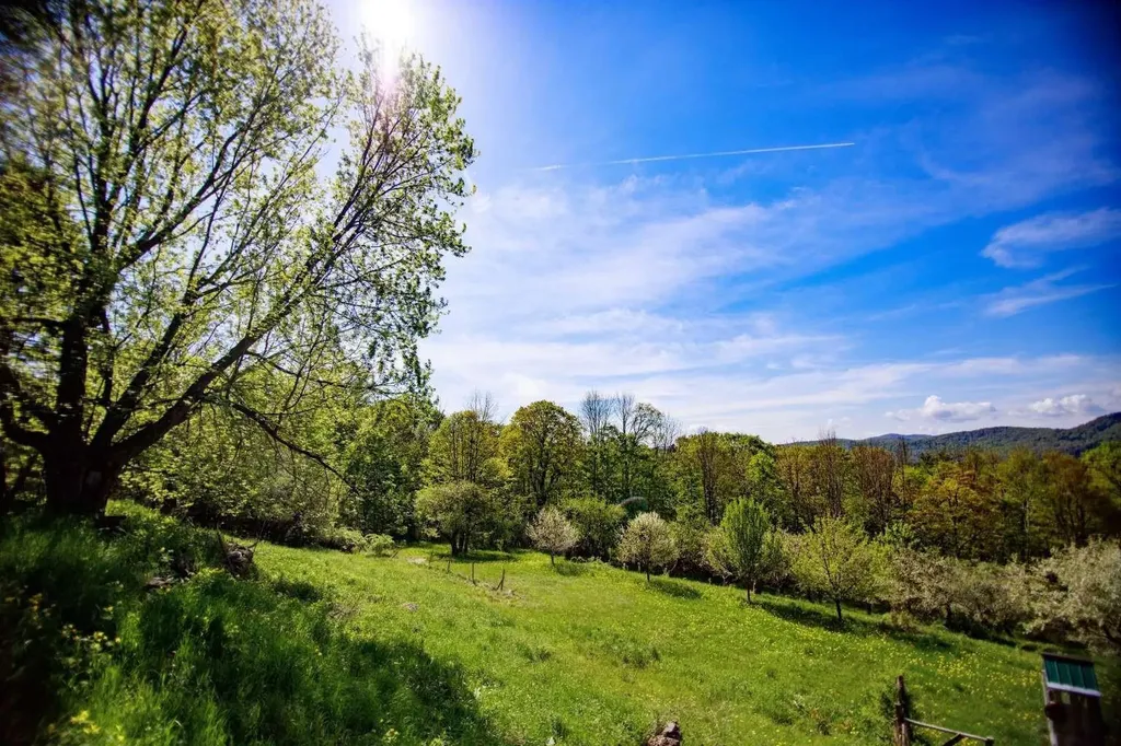 1312 Macintosh Hill Road Bethel VT 05060