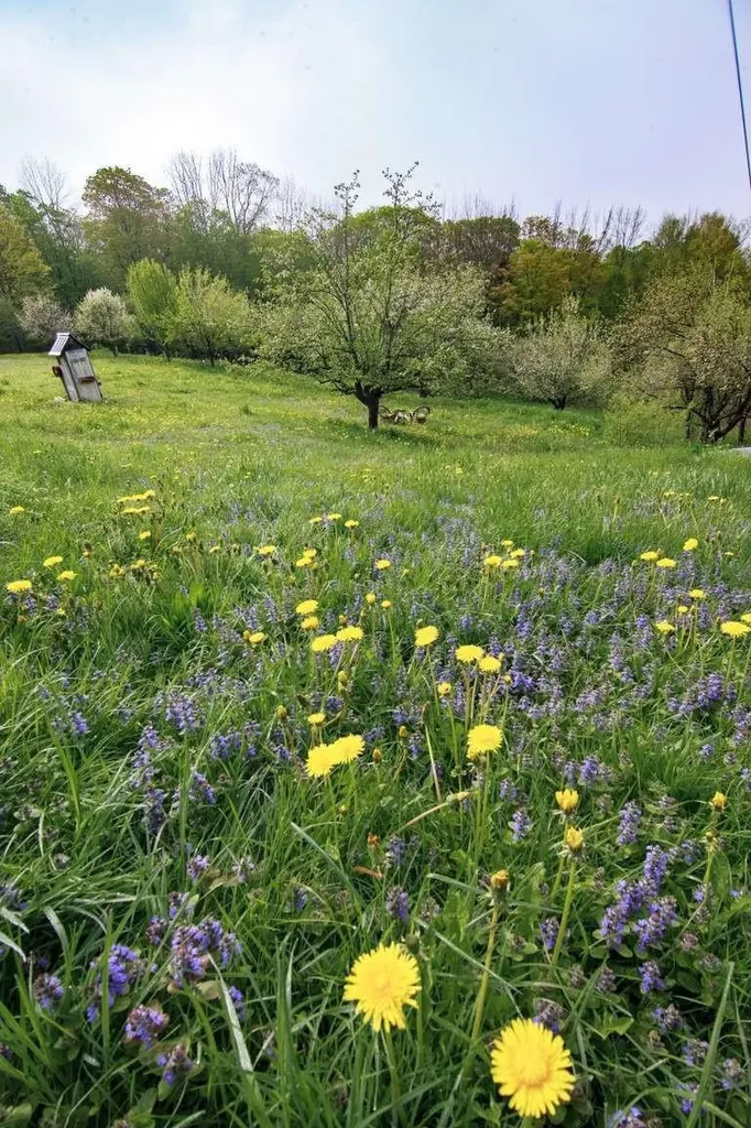 1312 Macintosh Hill Road Bethel VT 05060