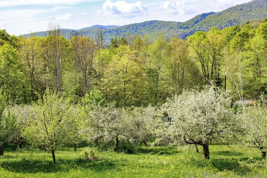 1312 Macintosh Hill Road Bethel VT 05060