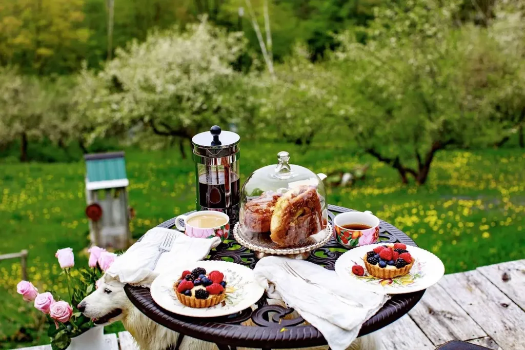 1312 Macintosh Hill Road Bethel VT 05060