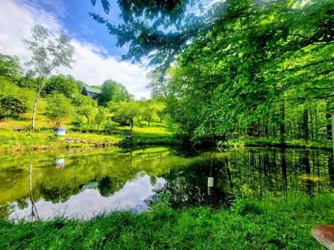 1312 Macintosh Hill Road Bethel VT 05060