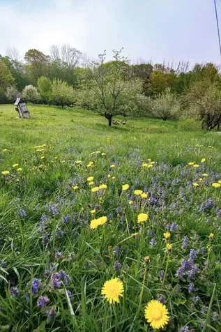 1312 Macintosh Hill Road Bethel VT 05060