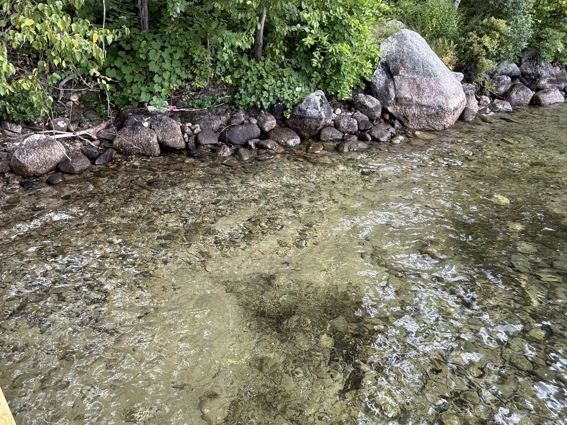 103 Meredith Neck Road Meredith NH 03253