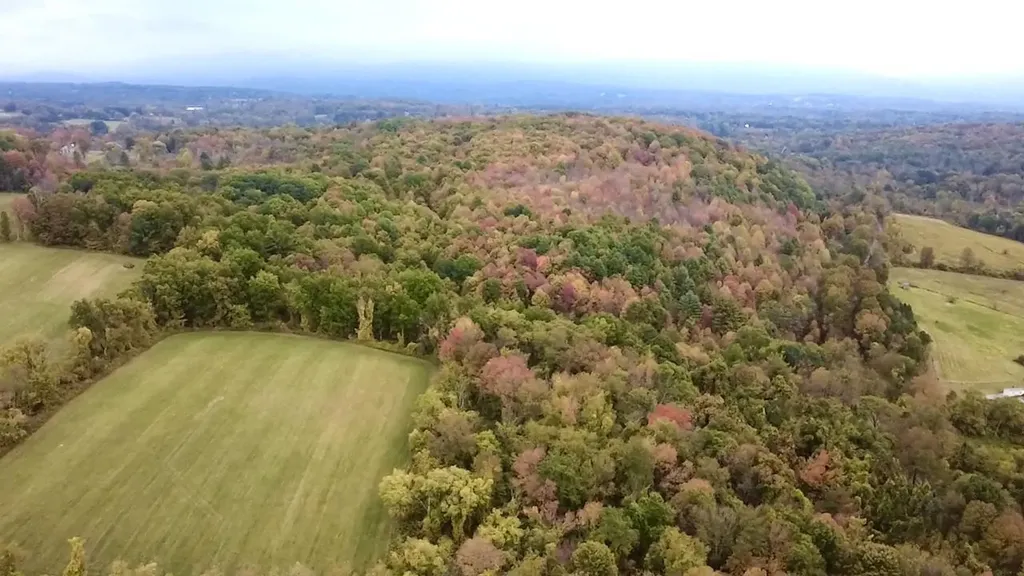 Stateline Road Shaftsbury VT 05262