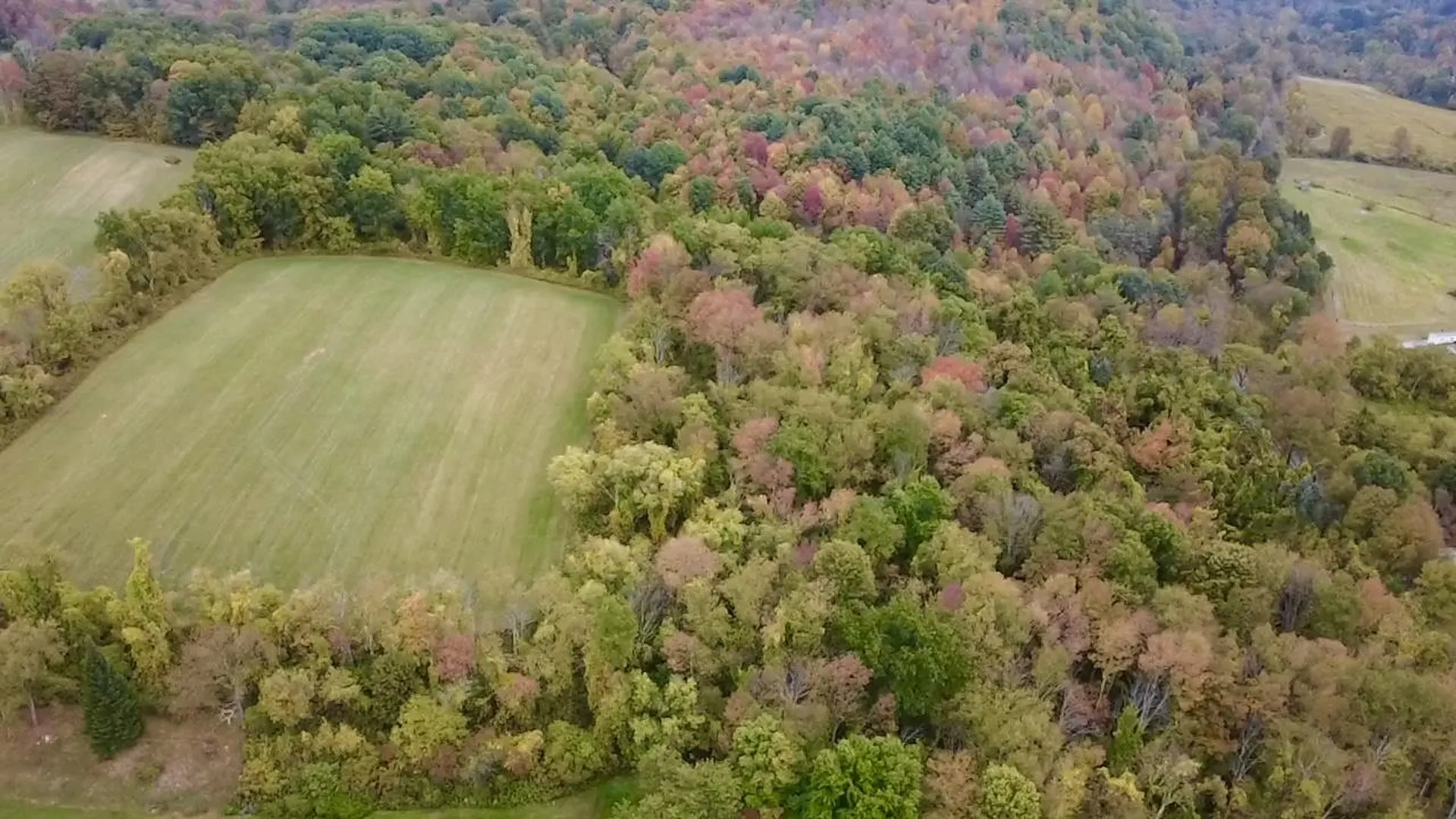 Stateline Road Shaftsbury VT 05262