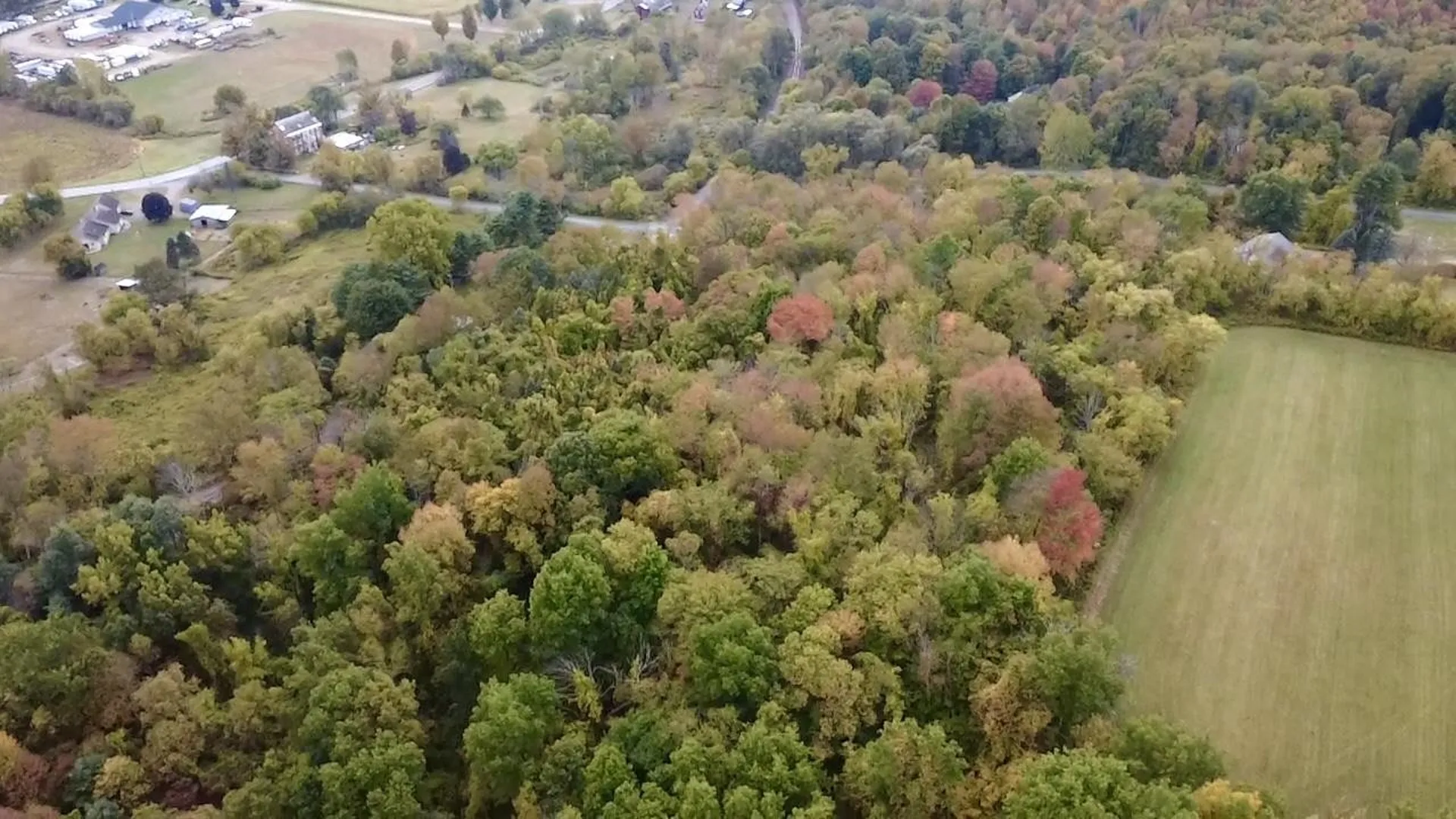 Stateline Road Shaftsbury VT 05262