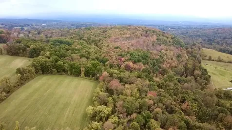 Stateline Road Shaftsbury VT 05262