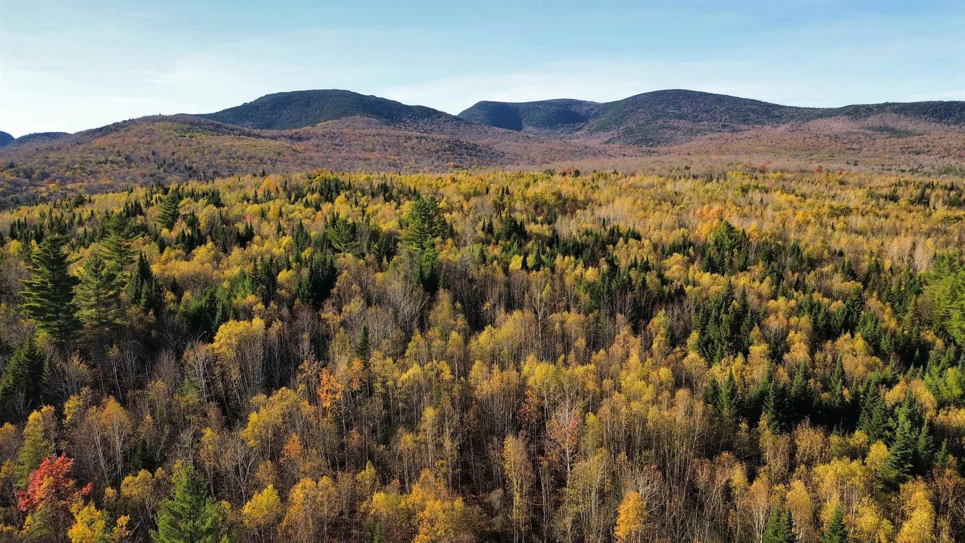 25 Sullivan Road Stark NH 03582