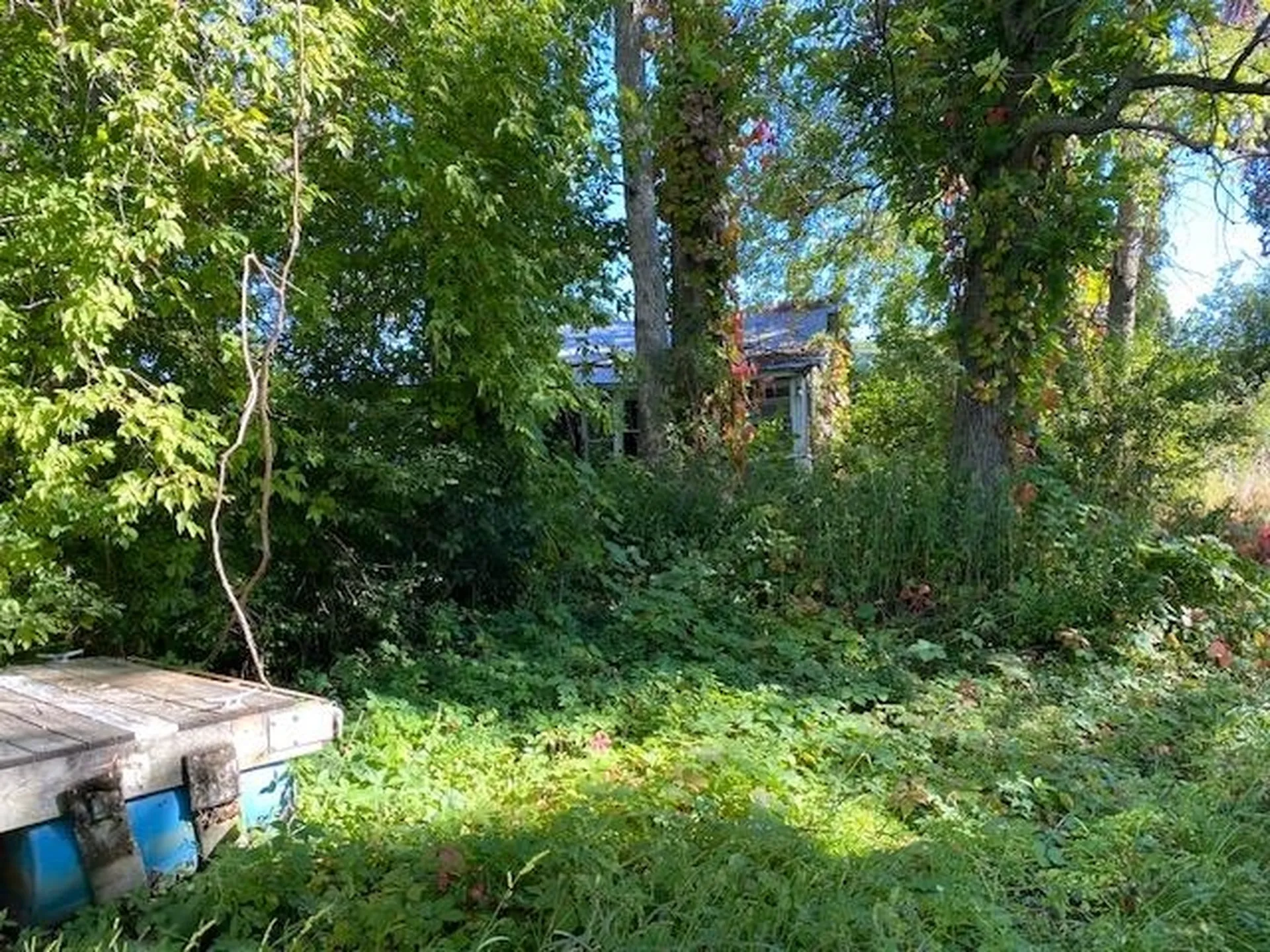 Lot 1a Gifford Lane South Hero VT 05486
