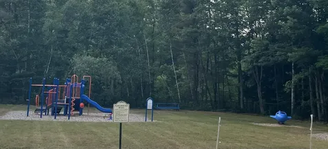 17 Centennial Drive Webster NH 03303