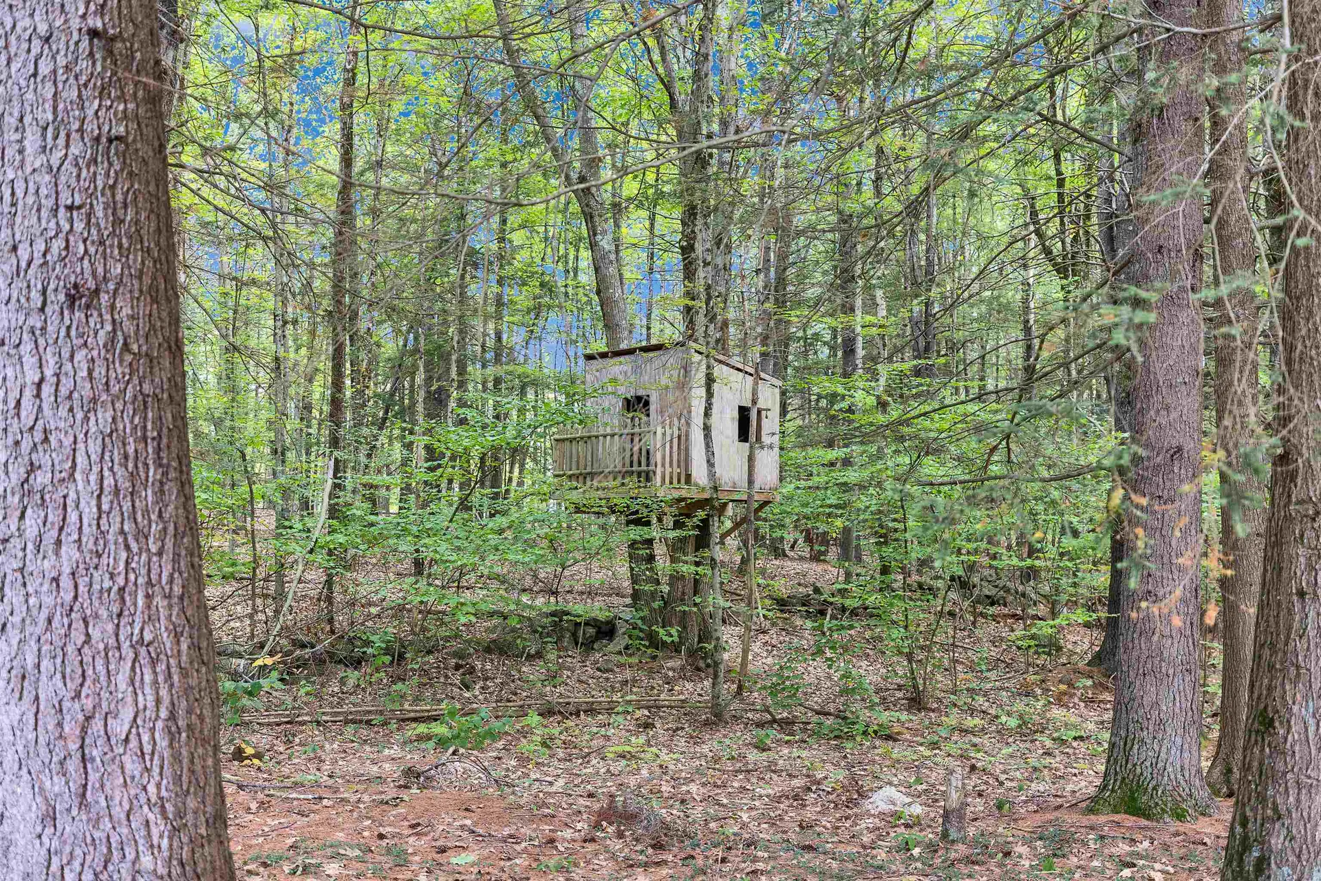 9 Burnham Drive New Boston NH 03070