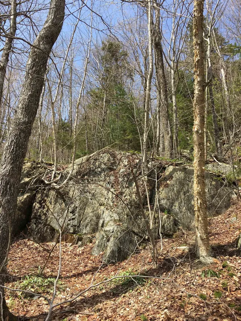 Tbd Warren Mountain Road Roxbury VT 05669