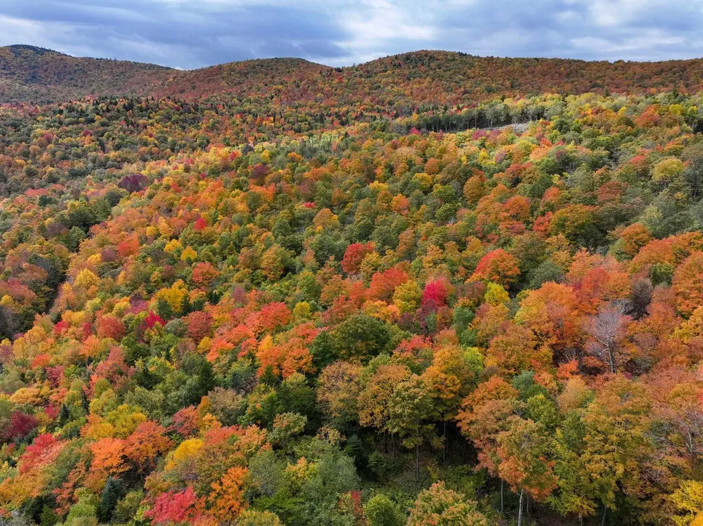 Tbd Warren Mountain Road Roxbury VT 05669