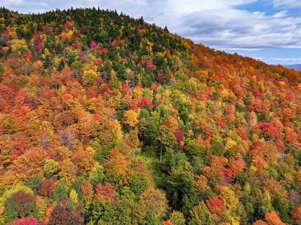 Tbd Warren Mountain Road Roxbury VT 05669