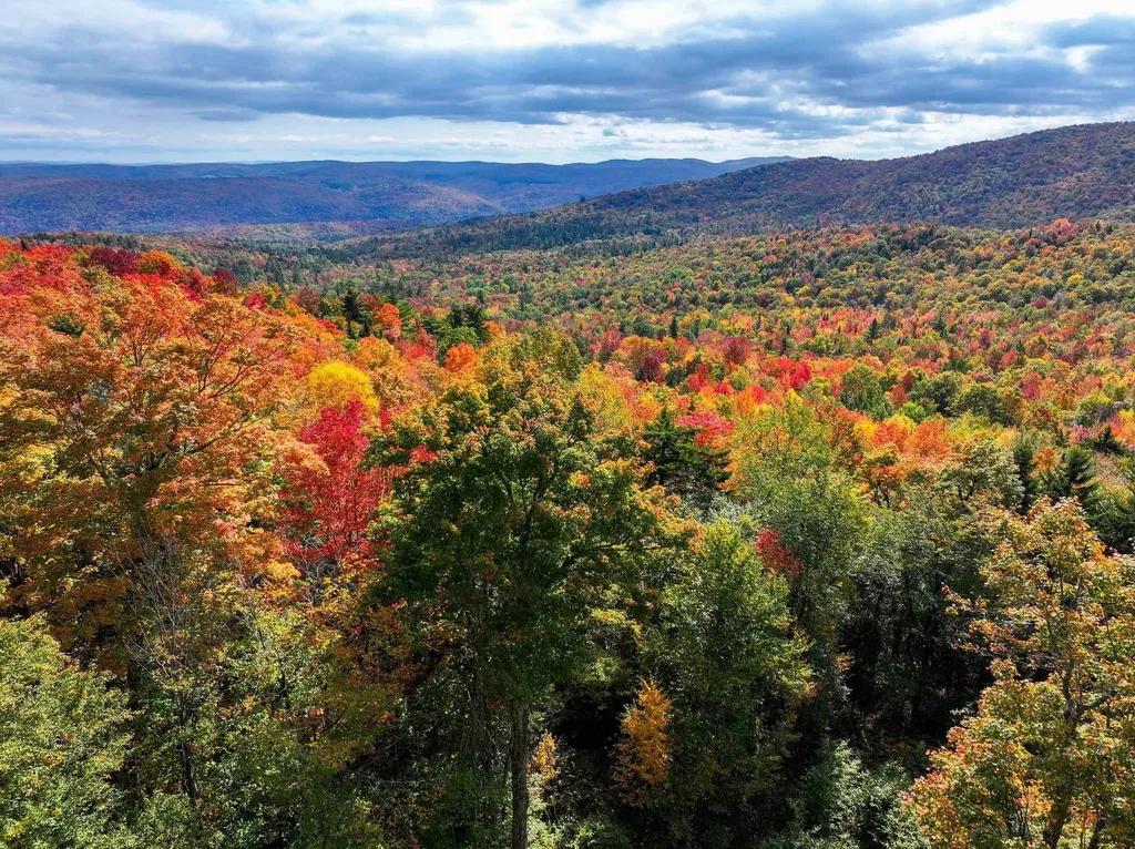 Tbd Warren Mountain Road Roxbury VT 05669