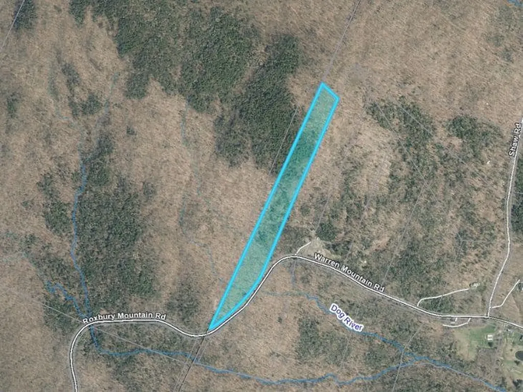 Tbd Warren Mountain Road Roxbury VT 05669