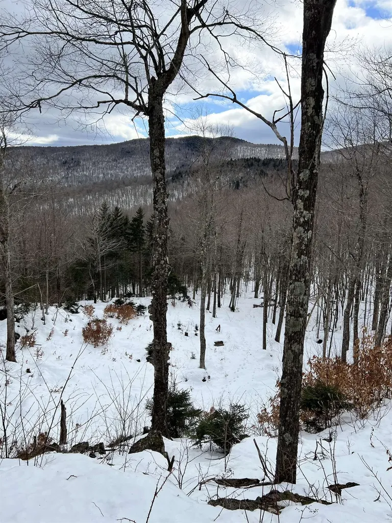 Tbd Warren Mountain Road Roxbury VT 05669