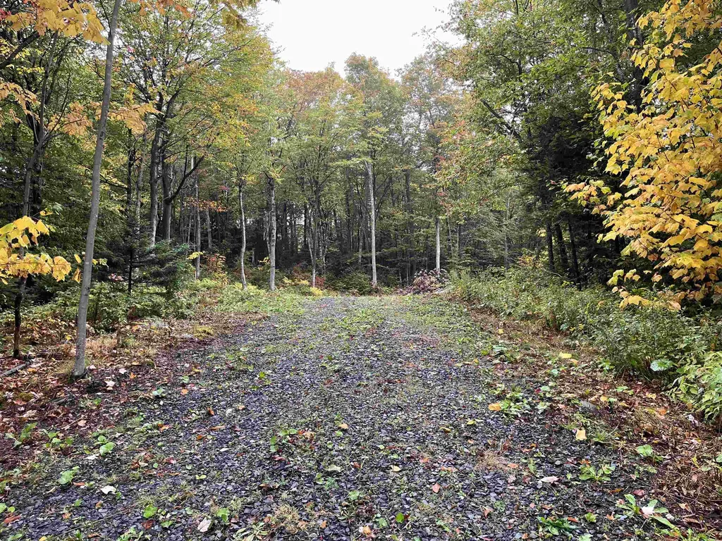 Tbd Warren Mountain Road Roxbury VT 05669