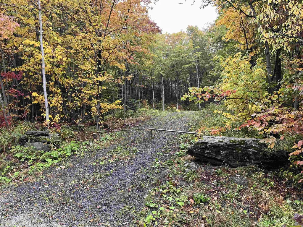 Tbd Warren Mountain Road Roxbury VT 05669