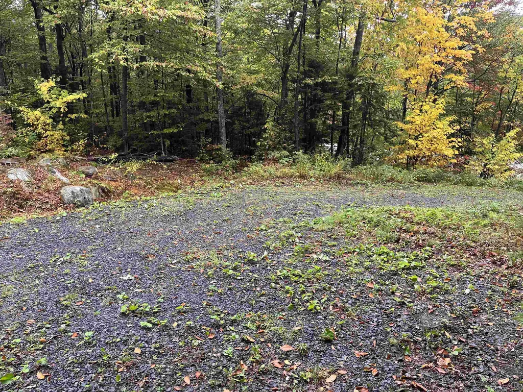 Tbd Warren Mountain Road Roxbury VT 05669