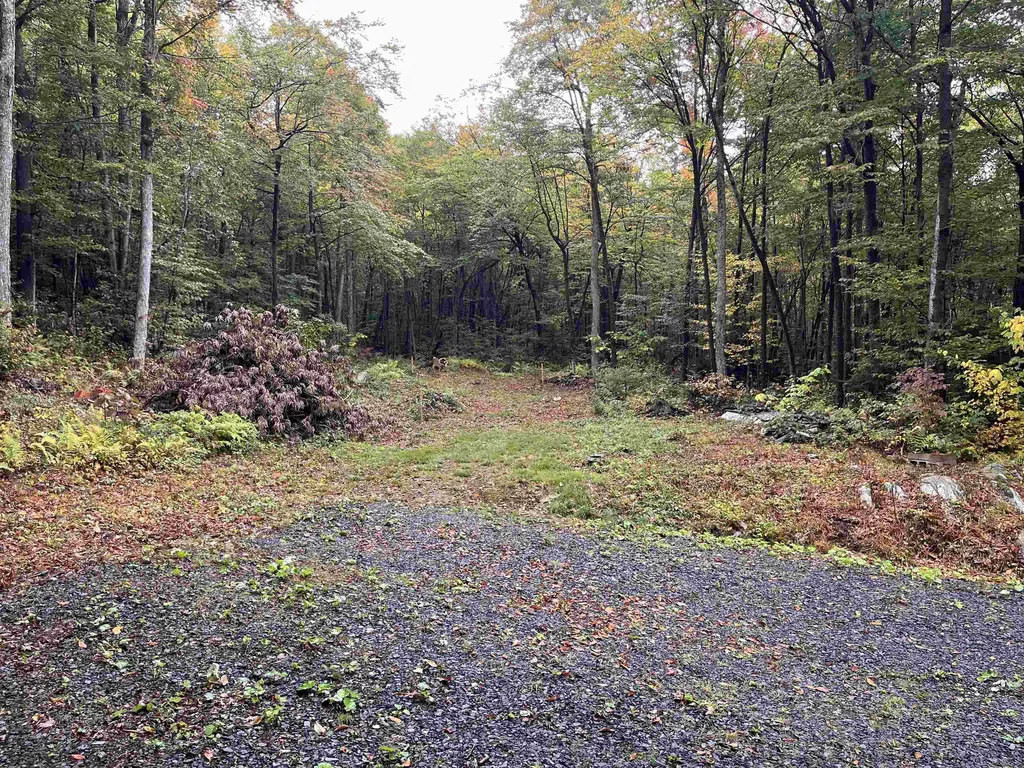 Tbd Warren Mountain Road Roxbury VT 05669
