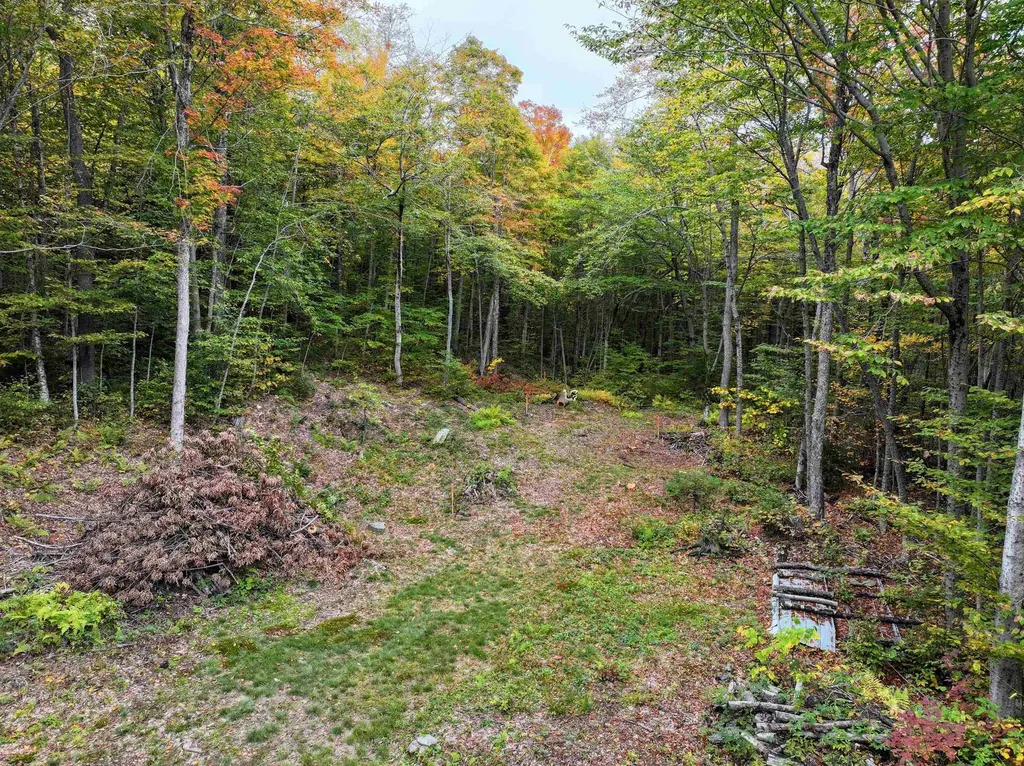 Tbd Warren Mountain Road Roxbury VT 05669