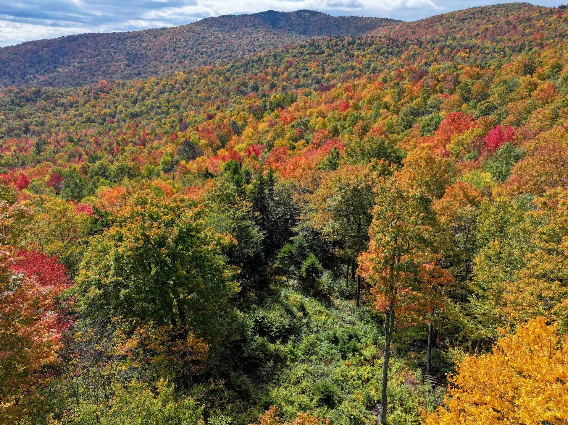 Tbd Warren Mountain Road Roxbury VT 05669