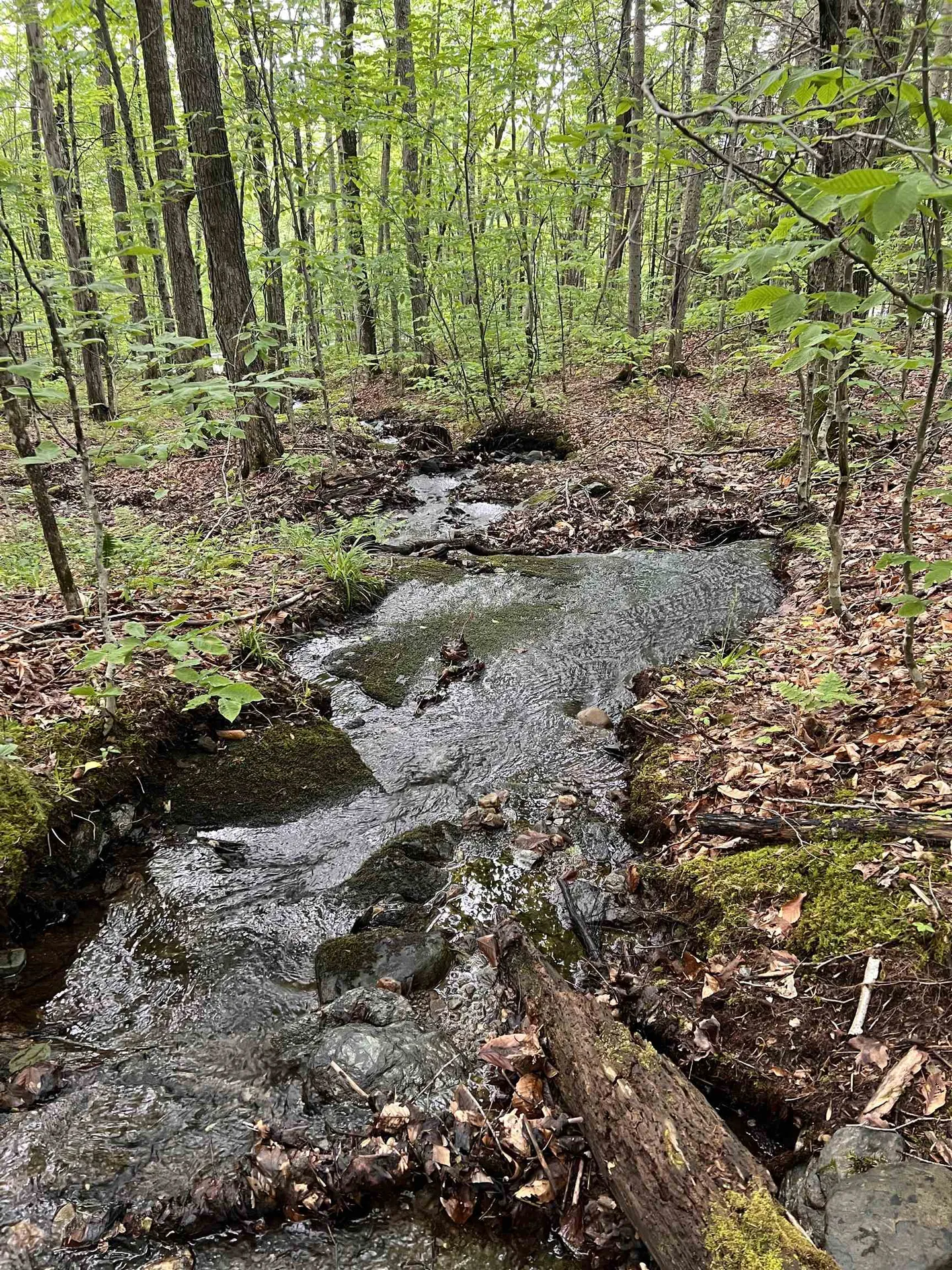 Tbd Warren Mountain Road Roxbury VT 05669