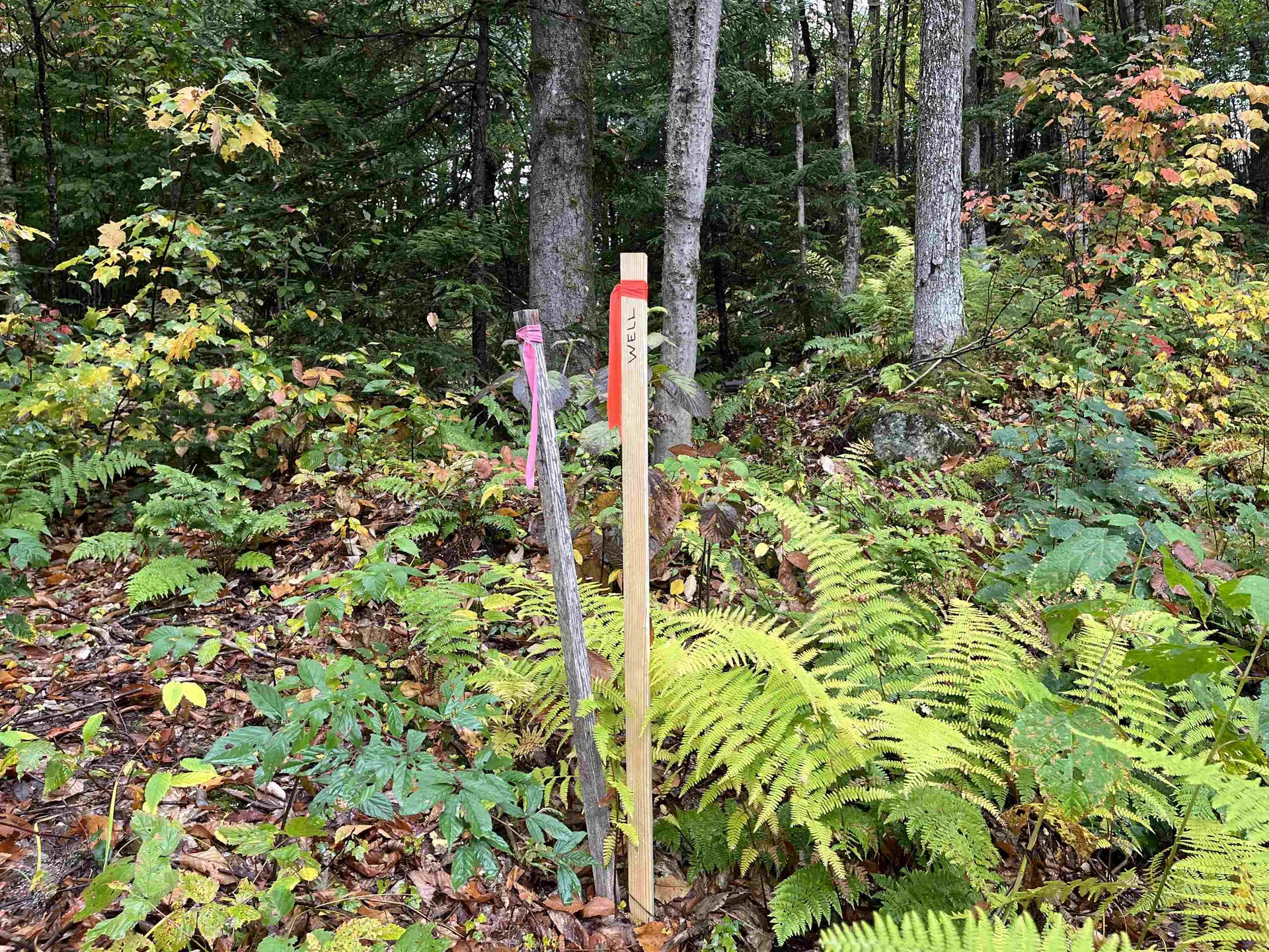 Tbd Warren Mountain Road Roxbury VT 05669