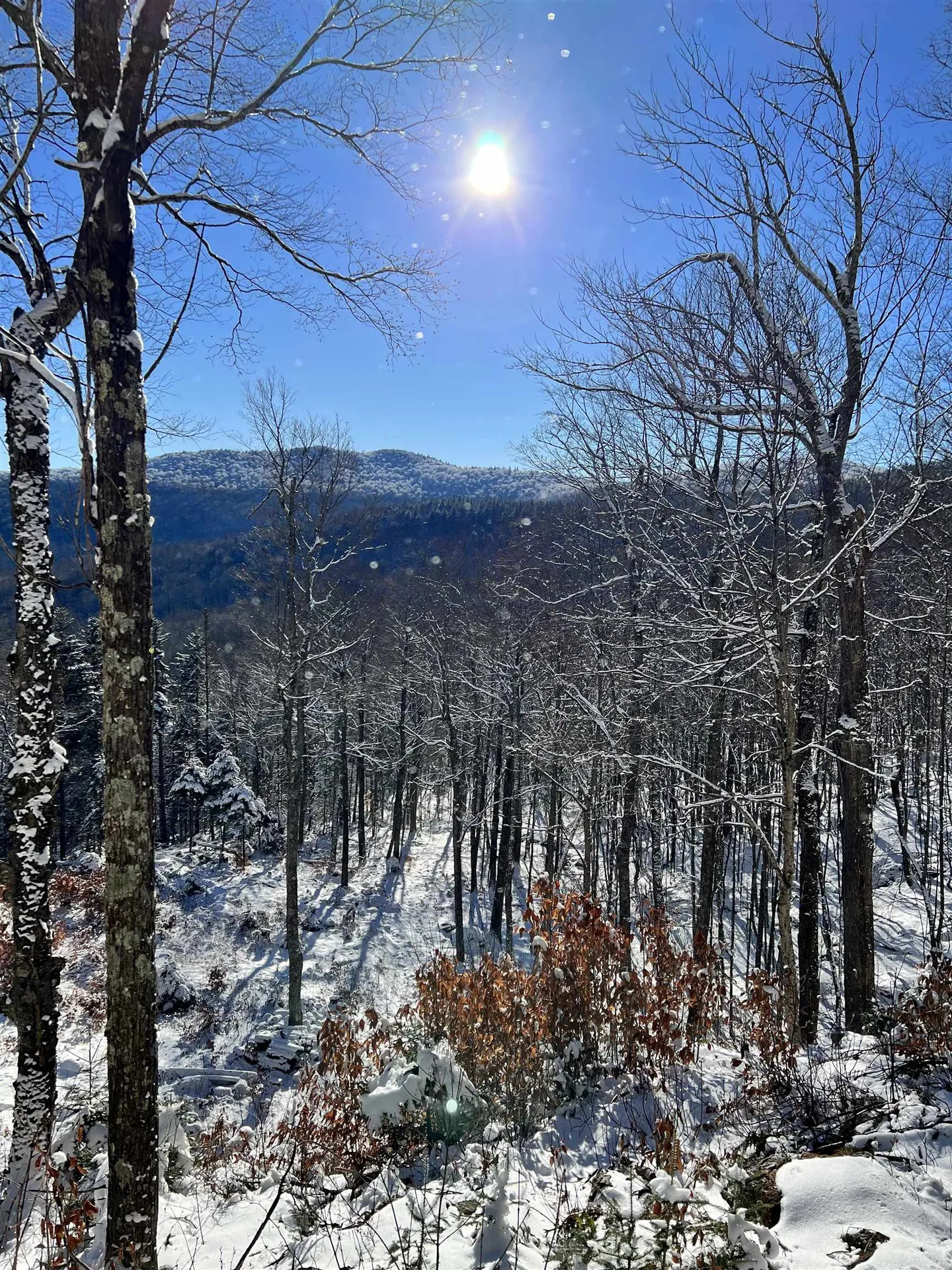 Tbd Warren Mountain Road Roxbury VT 05669