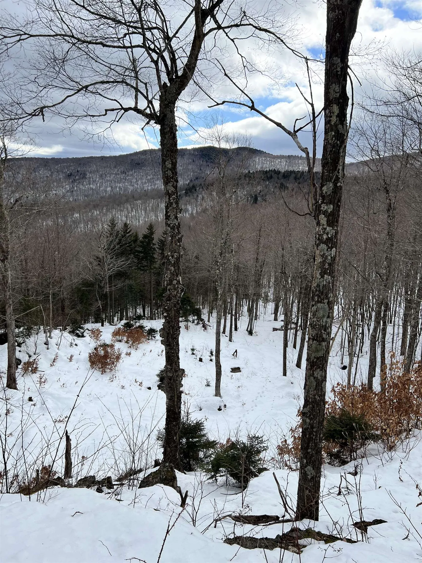 Tbd Warren Mountain Road Roxbury VT 05669