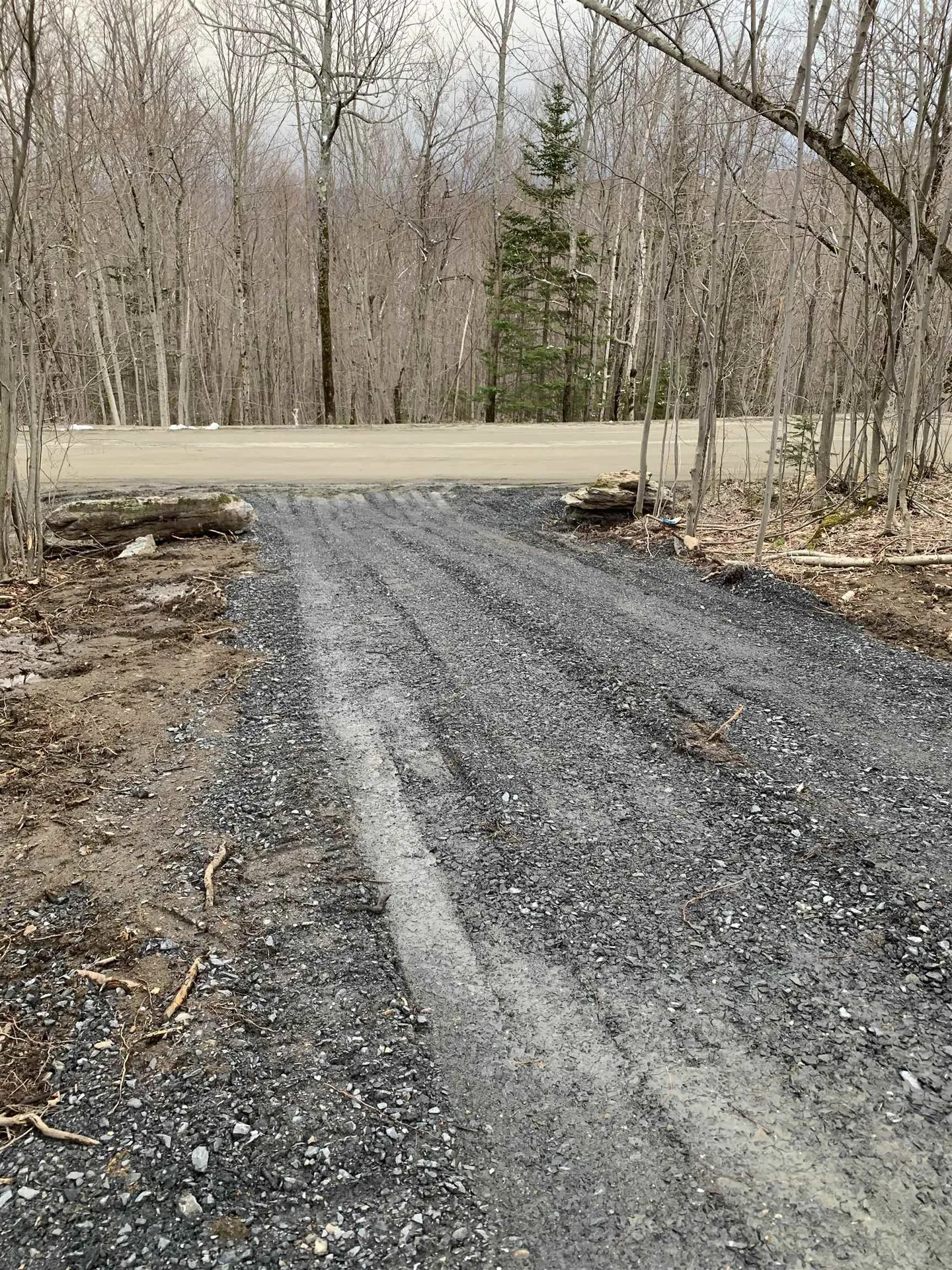 Tbd Warren Mountain Road Roxbury VT 05669