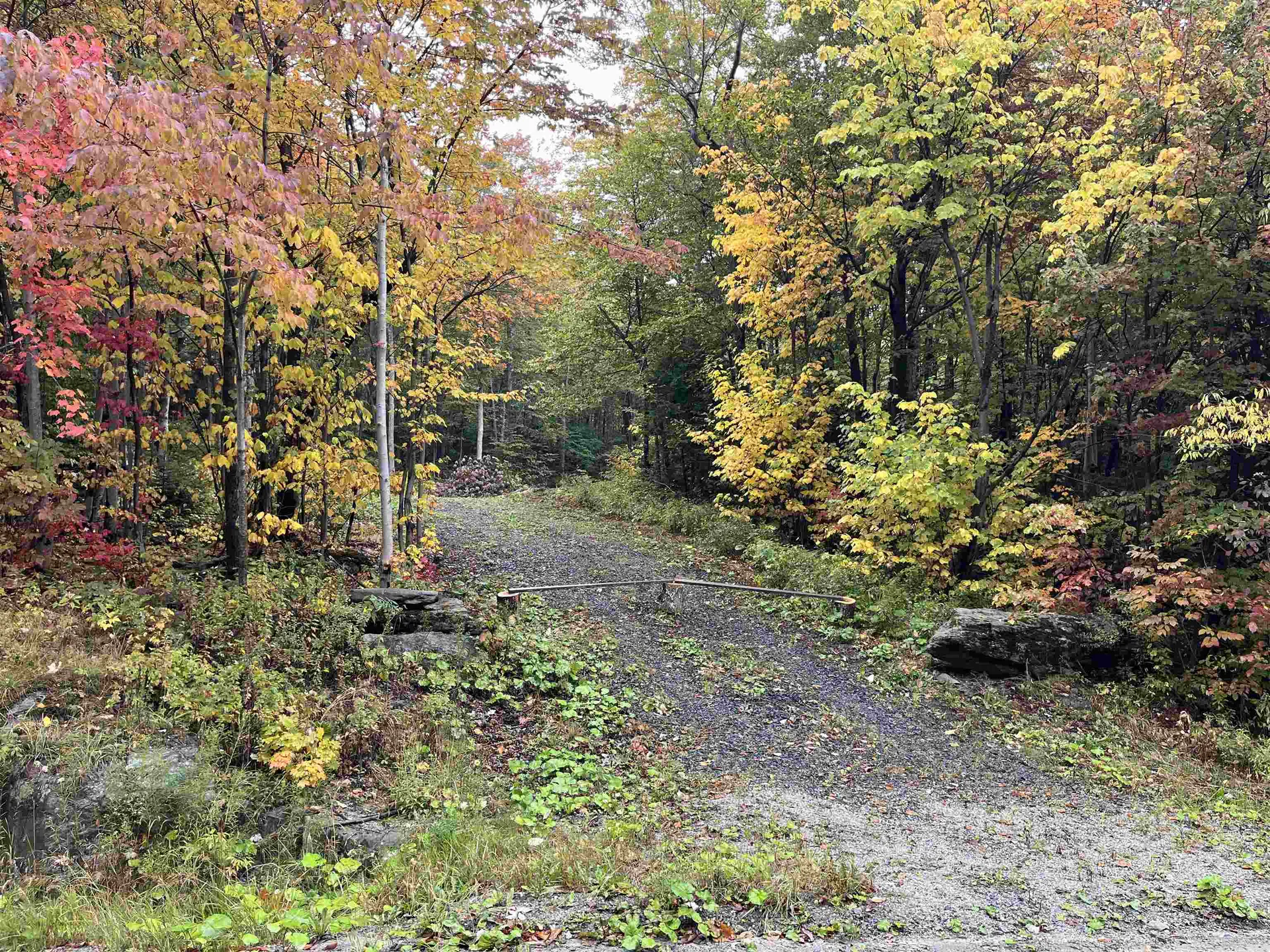 Tbd Warren Mountain Road Roxbury VT 05669