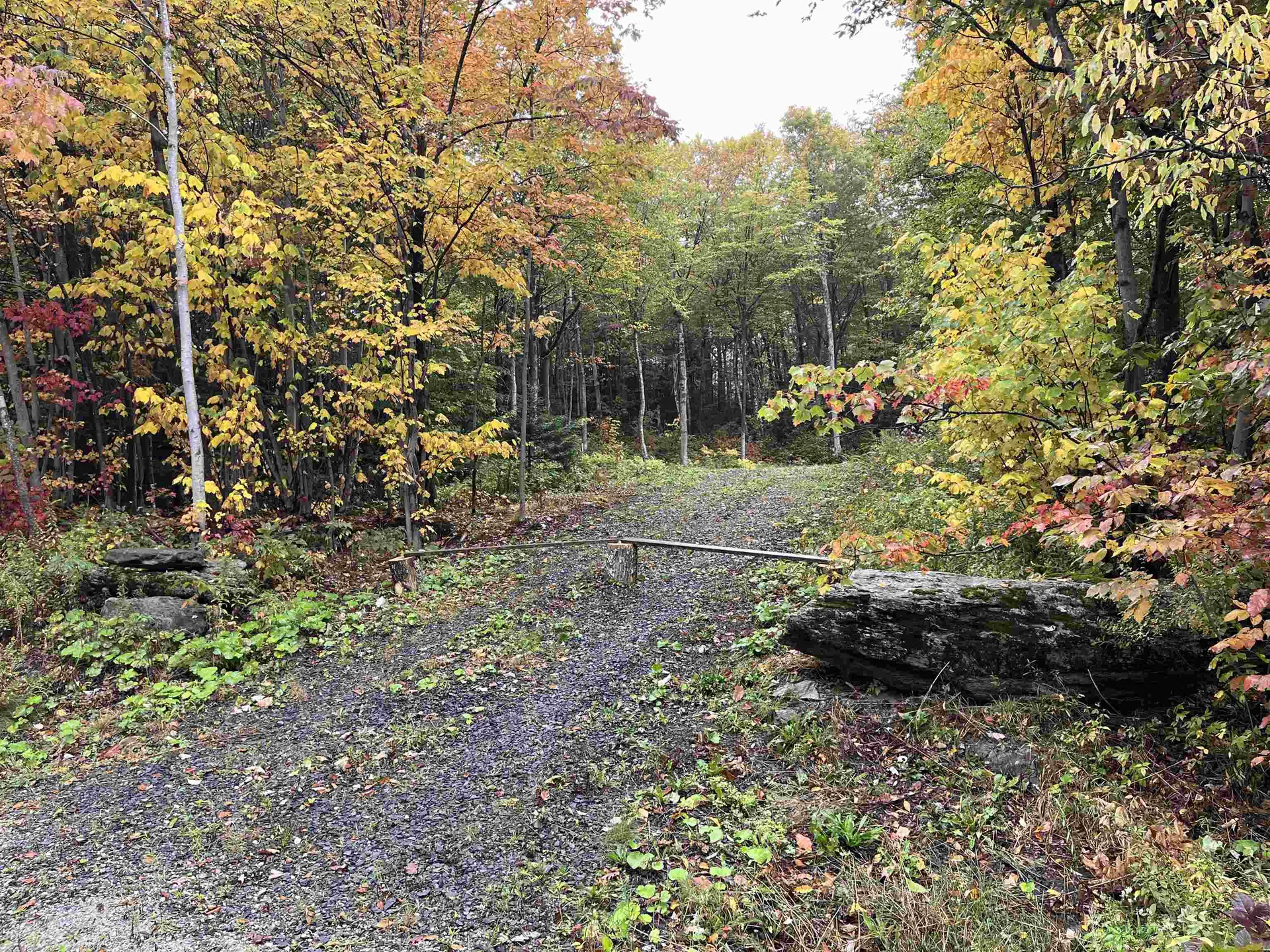 Tbd Warren Mountain Road Roxbury VT 05669