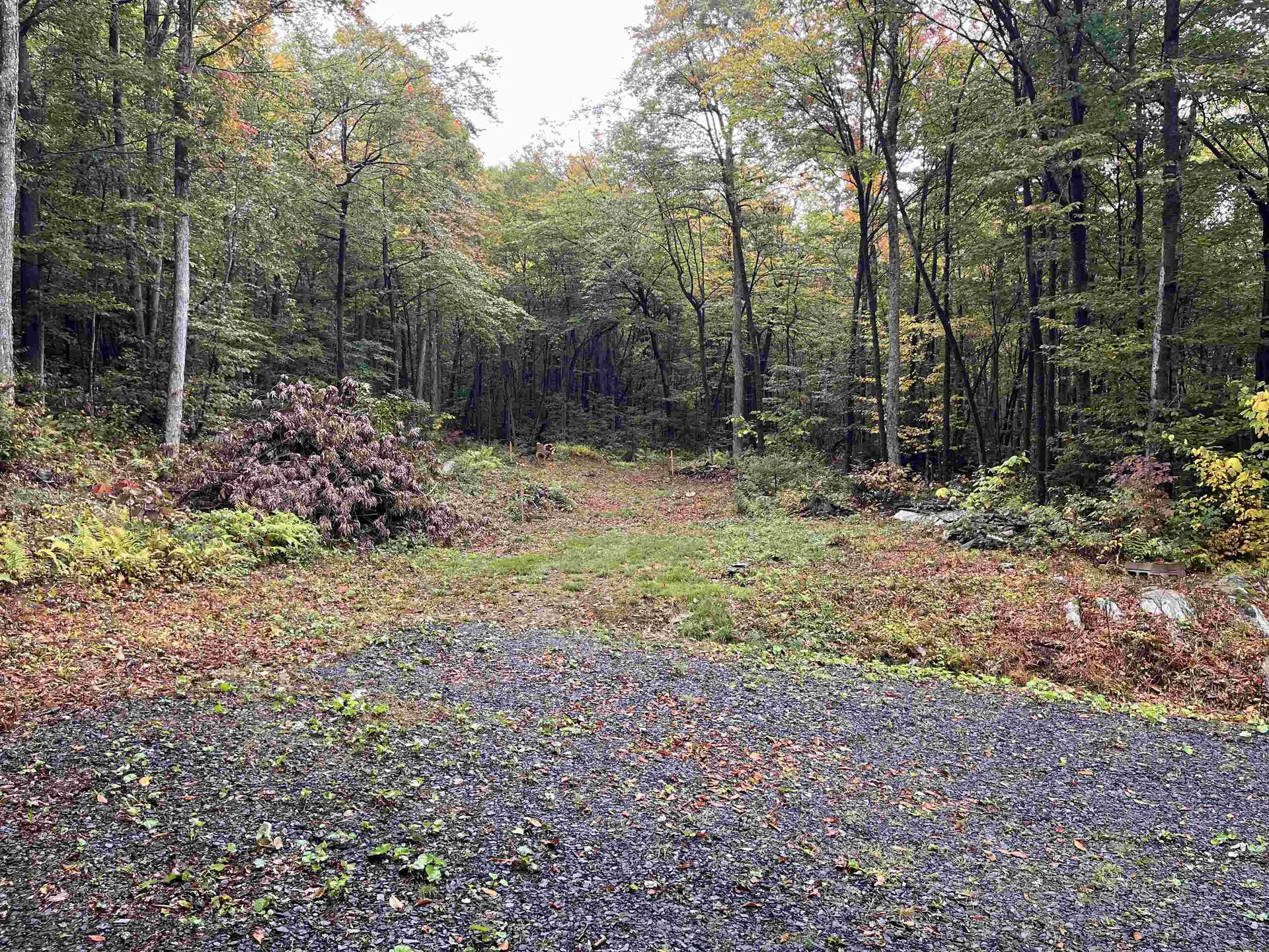 Tbd Warren Mountain Road Roxbury VT 05669