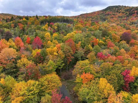 Tbd Warren Mountain Road Roxbury VT 05669