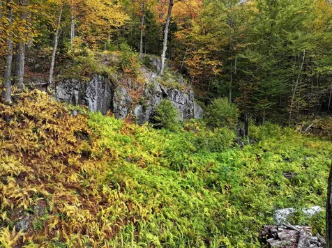 Tbd Warren Mountain Road Roxbury VT 05669