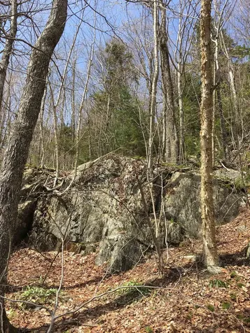 Tbd Warren Mountain Road Roxbury VT 05669