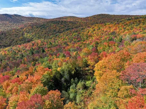 Tbd Warren Mountain Road Roxbury VT 05669